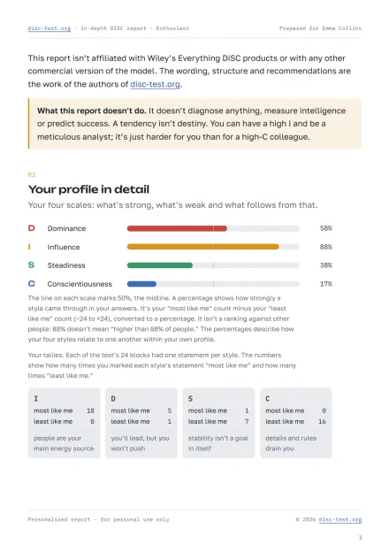A page from the in-depth DISC report: the “Your profile in detail” section with the four scales and what each one means