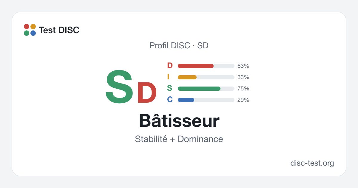 Bâtisseur (SD) : profil DISC · Stabilité + Dominance