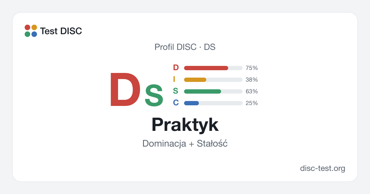 Praktyk (DS) – profil DISC · Dominacja + Stałość