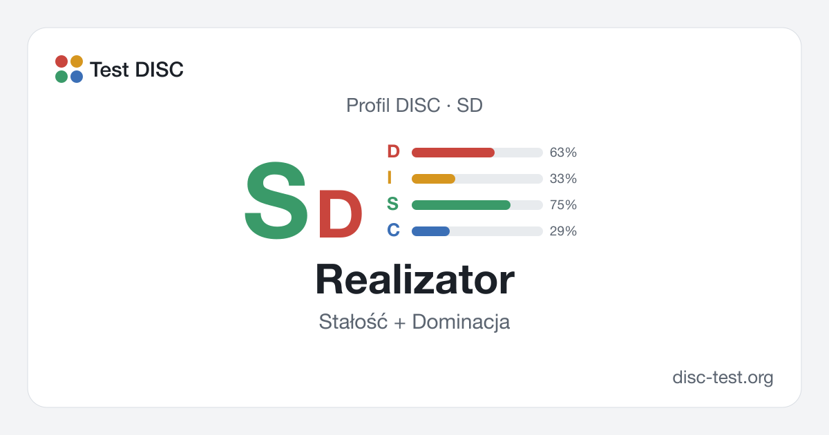 Realizator (SD) – profil DISC · Stałość + Dominacja