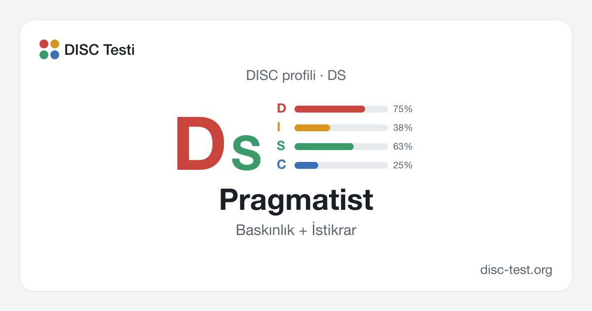 Pragmatist (DS) — DISC profili · Baskınlık + İstikrar