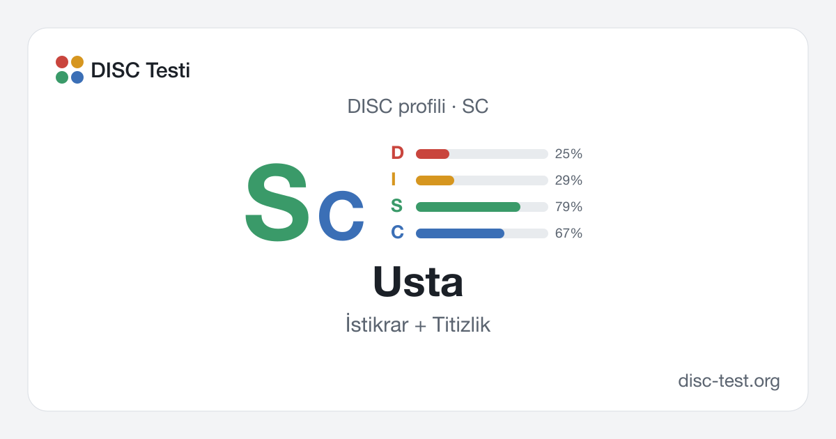 Usta (SC) — DISC profili · İstikrar + Titizlik