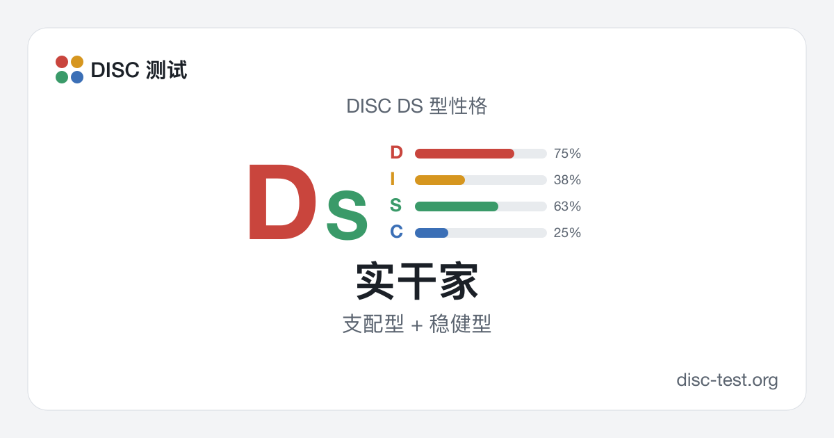 实干家（DISC DS 型） · 支配型 + 稳健型